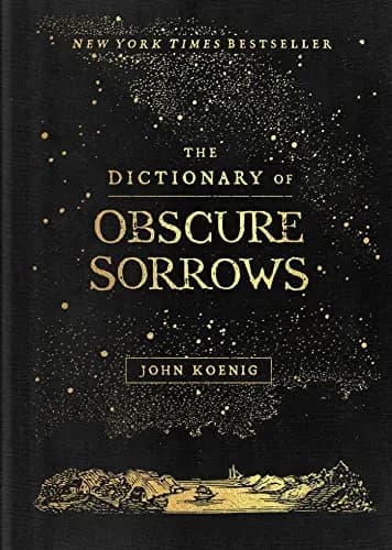 The Dictionary of Obscure Sorrows Hardcover | Defining Unexpressed Emotions thumbnail 1