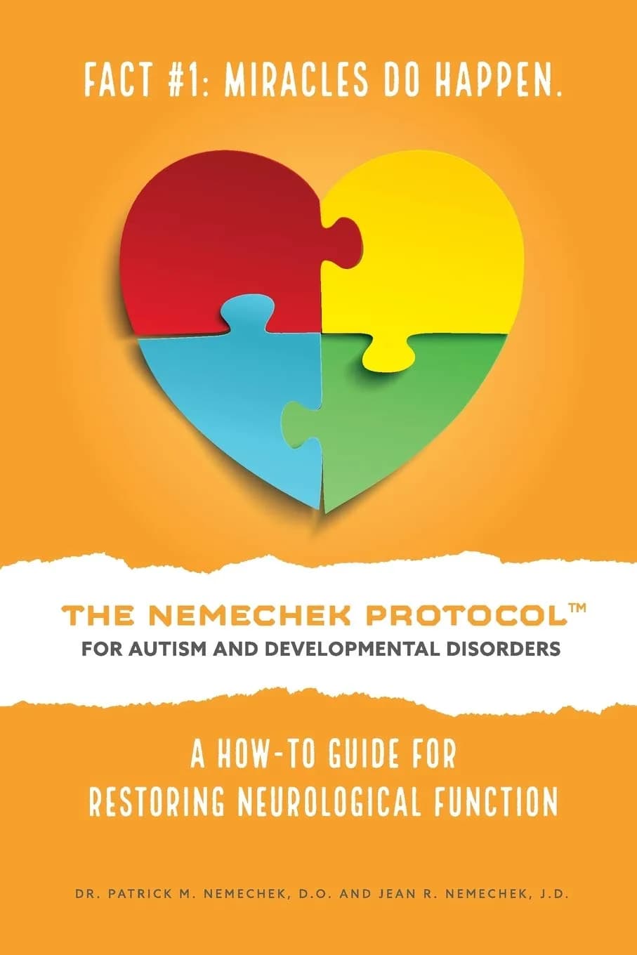 The Nemechek Protocol for Autism and Developmental Disorders: A How-To Guide for Restoring Neurological Function (200 Pages)