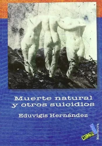 Narrativa Short Stories & Short Stories & Fiction | Spanish Edition, 72 pages, Hernández Cabrera thumbnail 1