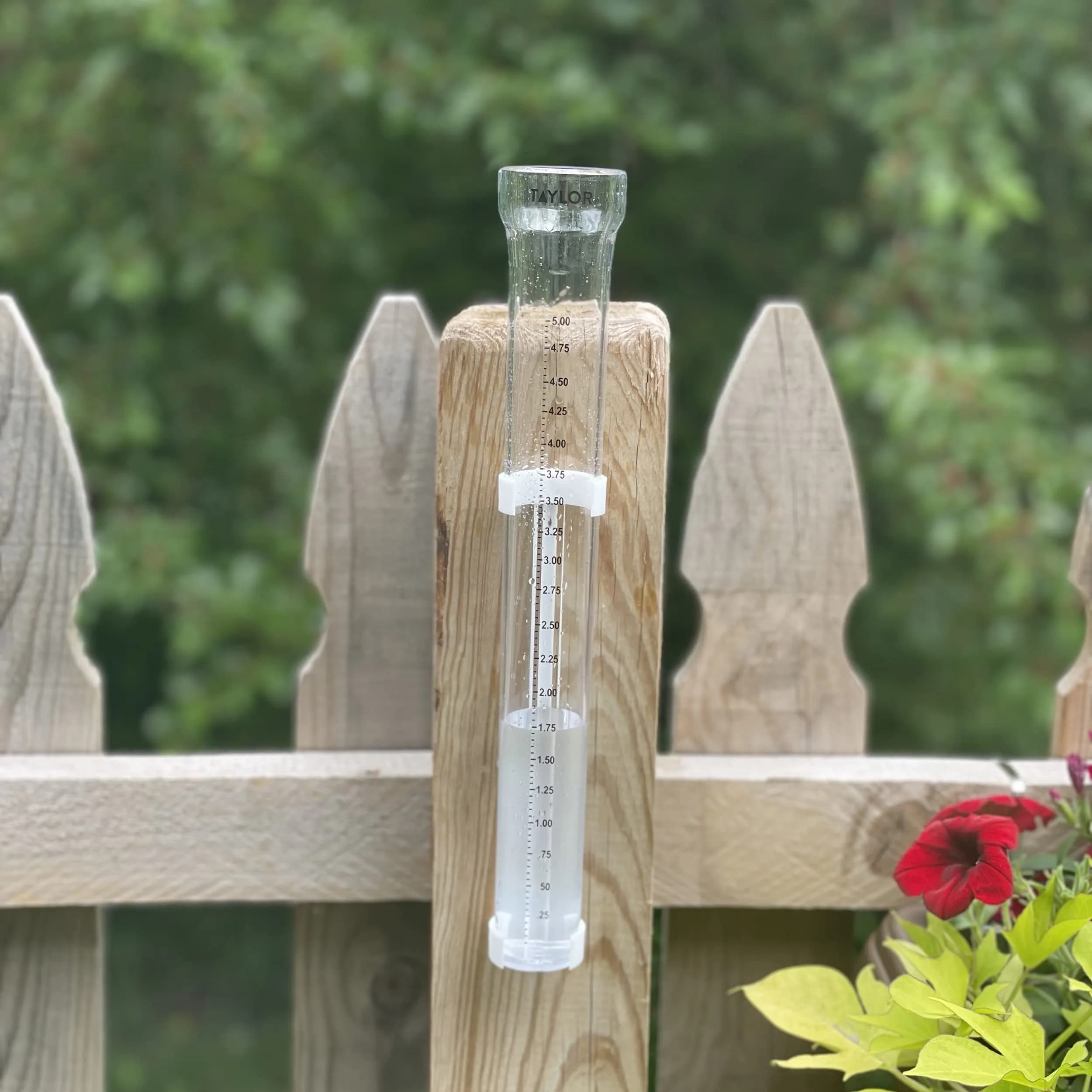 Taylor ClearVu Rain Gauge with Post Mounting Bracket 25.4 cm (10 inch) | Measures Rainfall in 0.635 cm Increments - view 4