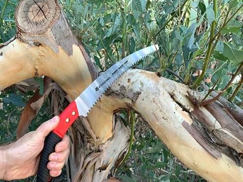 Corona Clipper 13-Inch RazorTOOTH Pruning Saw | Curved Blade Hand Saw for Branches up to 7" thumbnail 4
