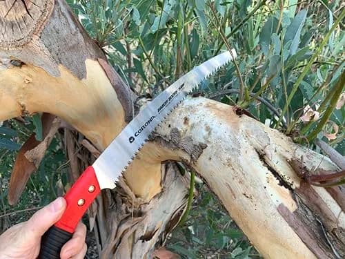 Corona Clipper 13-Inch RazorTOOTH Pruning Saw | Curved Blade Hand Saw for Branches up to 7" thumbnail 2