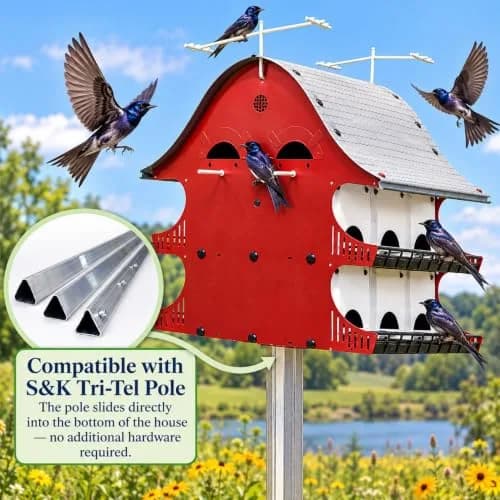 S&K Purple Martin House, 16-Room Birdhouse for Backyard Birding | Durable Polypropylene, Easy Assembly, 16 Compartments thumbnail 4
