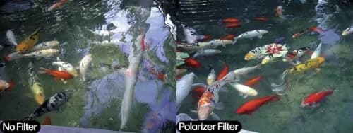 Tiffen 46mm Linear Polarizer Filter | Reduces Glare & Reflections, Minimizes Haze, Outdoor Color Filter thumbnail 2