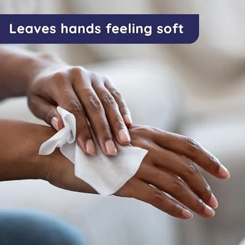 Wet Ones Antibacterial Hand Wipes Fresh Scent 40 Count | Kills 99.99% of Germs thumbnail 3