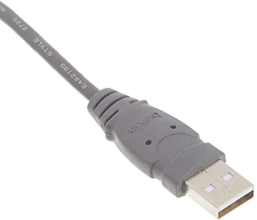 Belkin USB-A to USB-B 6-inch Cable | Connect Printers, Scanners, Hard Drives thumbnail 4
