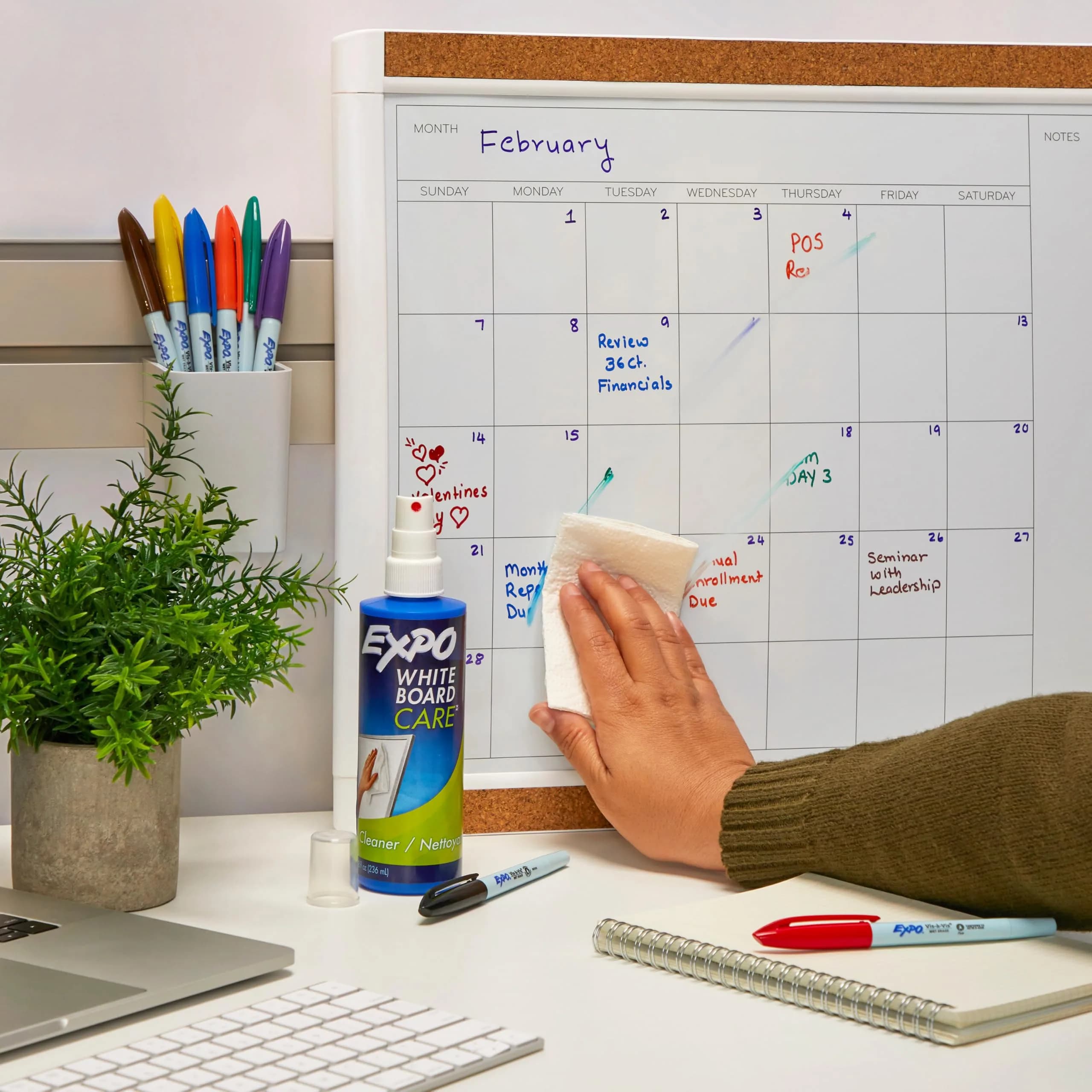 EXPO Dry Erase Whiteboard Cleaning Spray, 8 Ounce Bottle | Tackles Tough Marks and Ghosting - view 3