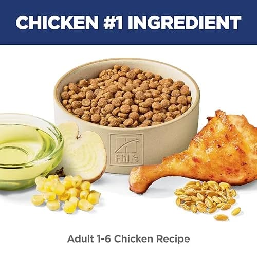 Hill's Science Diet Adult 1-6 Dry Cat Food Chicken Recipe 1.81 kg (4 lb) | Veterinarian Recommended thumbnail 2