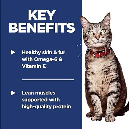 Hill's Science Diet Adult 1-6 Dry Cat Food Chicken Recipe 1.81 kg (4 lb) | Veterinarian Recommended thumbnail 3