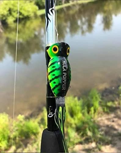 Arbogast Hula Popper Topwater Fishing Lure, Yellow Coachdog, 2 in (5.08 cm), 3/8 oz (10.6 g) | Vicious topwater strikes thumbnail 3
