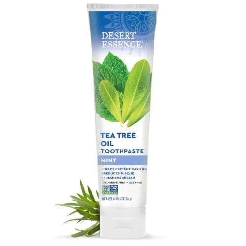 Desert Essence Tea Tree Oil Mint Toothpaste | Fluoride Free, 6.25 oz for Healthy Teeth & Gums thumbnail 1