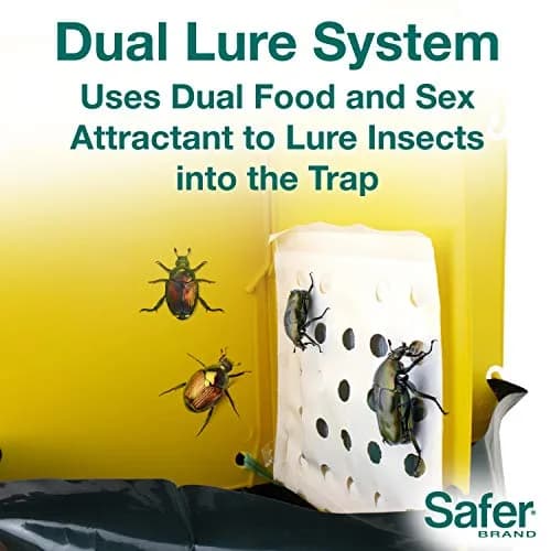 Safer Brand Japanese Beetle Trap with Attractant - 70102 | Outdoor Pest Control Device for Japanese Beetles thumbnail 6