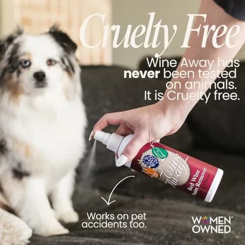 Wine Away Red Wine Stain Remover 355ml (12 Fl Oz) | Proven Effectiveness for All Fabric Stains thumbnail 5