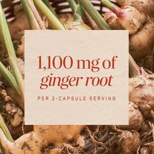 Nature's Way Ginger Root Capsules 1100 mg per Serving, Vegan, 100 Count | Supports Digestive Comfort & Reduces Nausea thumbnail 4