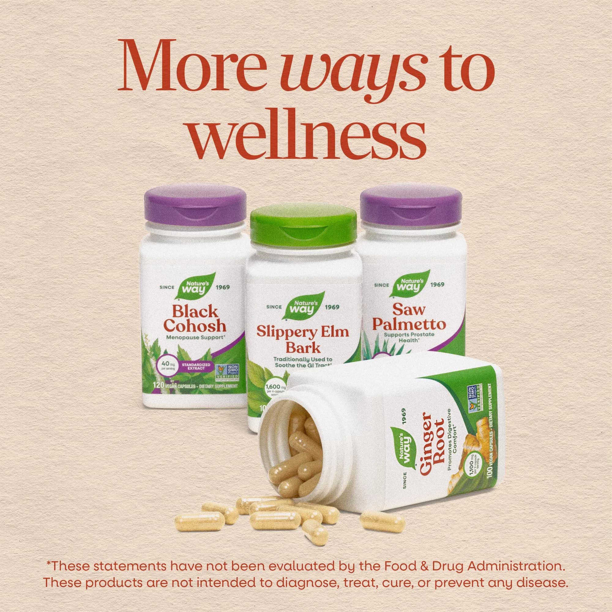 Nature's Way Ginger Root Capsules 1100 mg per Serving, Vegan, 100 Count | Supports Digestive Comfort & Reduces Nausea - view 8