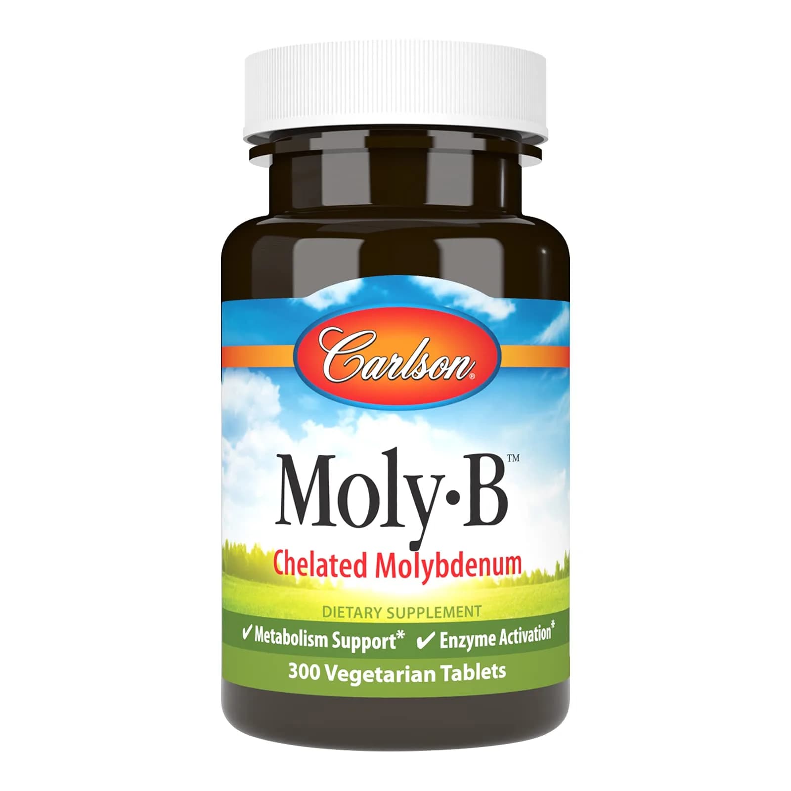 Carlson Moly-B, Metabolism Support, 300 Vegetarian Tablets | Supports Fat & Carbohydrate Metabolism — No Color