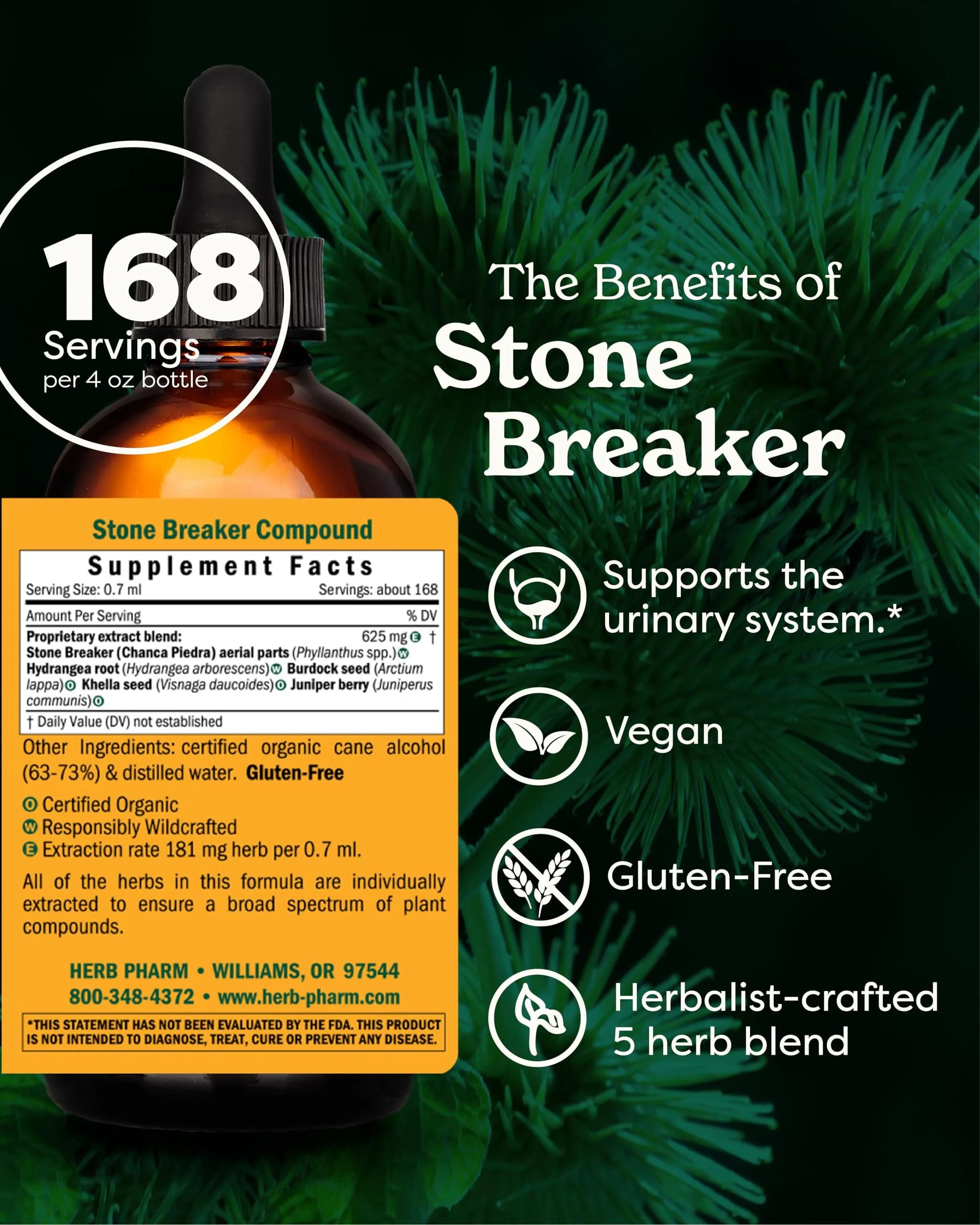 Herb Pharm Stone Breaker Chanca Piedra Liquid Extract 118ml (4 fl oz) | Supports Urinary System - view 2