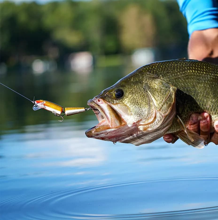 Rapala Jointed 13 Fishing Lure 5.25-Inch | Brown Trout, Topwater Action, Suspends & Long Cast thumbnail 3
