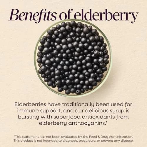 Nature's Way Sambucus Immune Elderberry Syrup with Vitamin C & Zinc 240ml (8 Fl Oz) | Immune Support with Superfood Antioxidants thumbnail 4