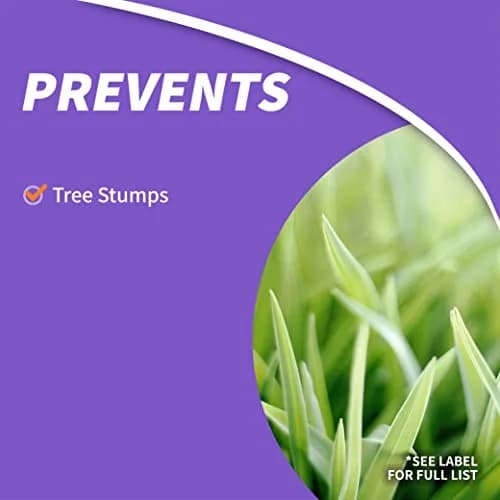 Bonide Stump-Out Granules 1 lb (454 g) | Accelerates Stump Decomposition for Easy Removal thumbnail 3
