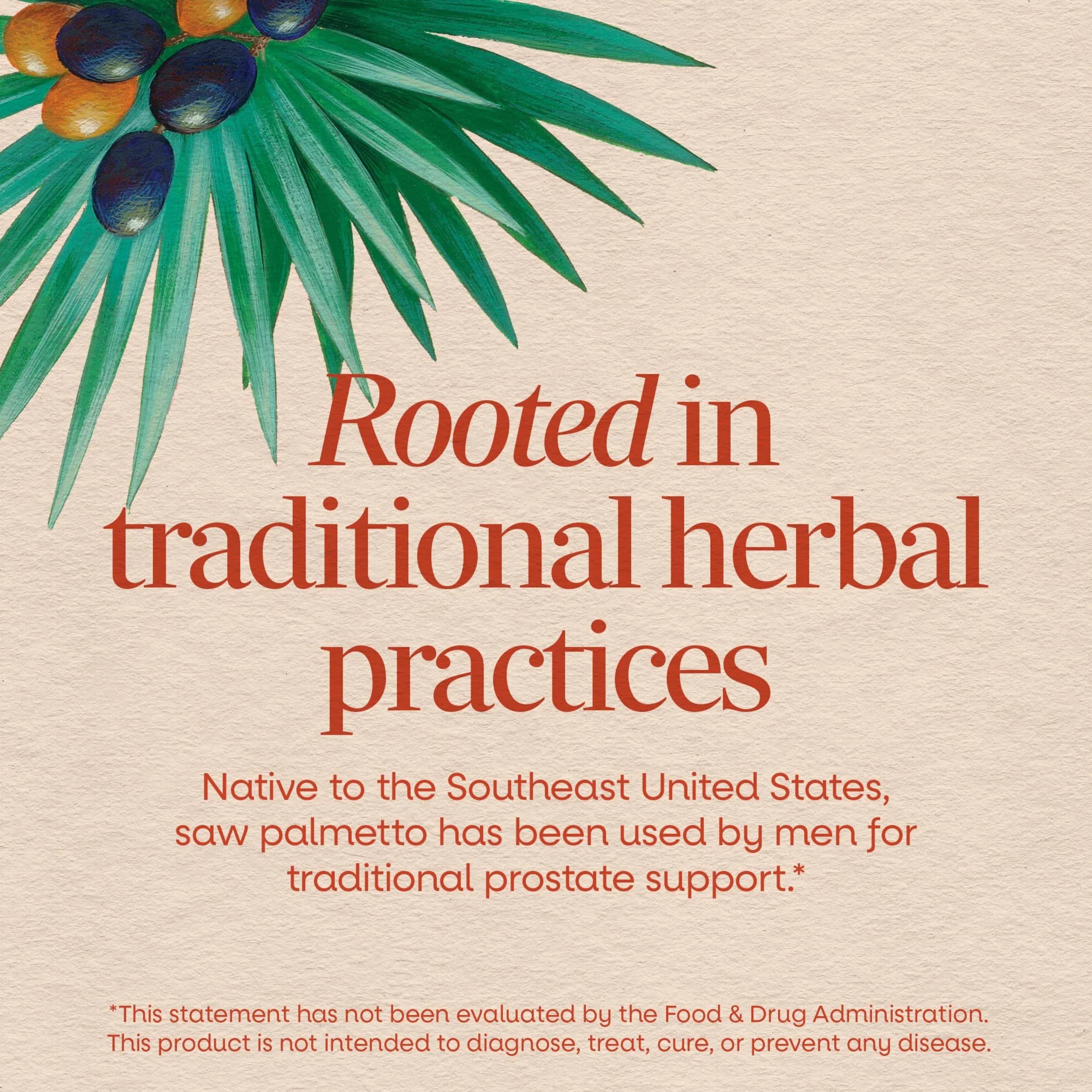 Nature's Way Saw Palmetto Berries Prostate Support 180 Count | Traditional Herbal Supplement for Men - view 3