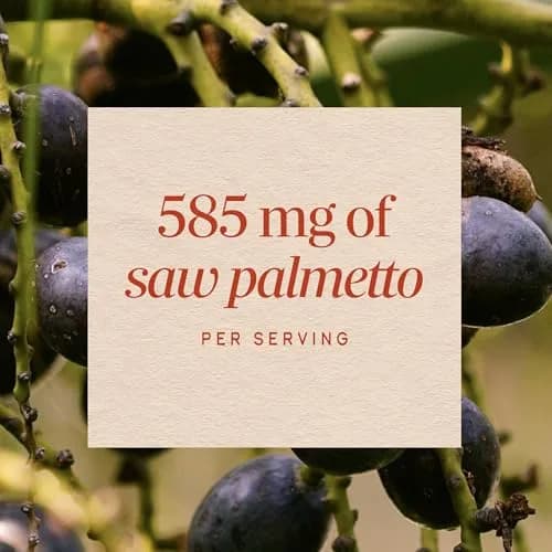 Nature's Way Saw Palmetto Berries Herbal Supplement 100 Count | Traditional Prostate Support thumbnail 4