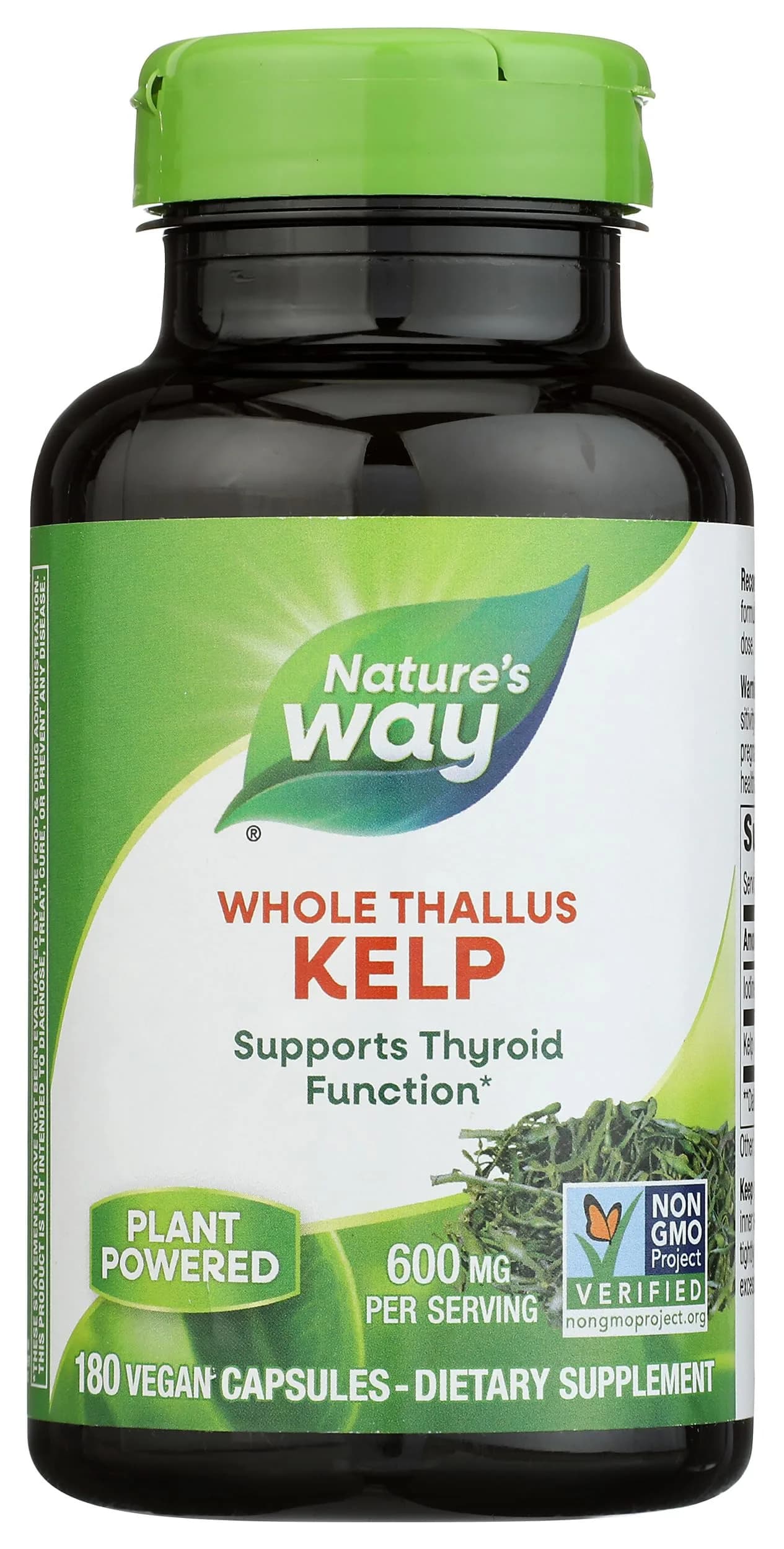 Nature's Way Kelp 180 Count (180 Servings) | Thyroid Support with Plant-Sourced Iodine - main product image