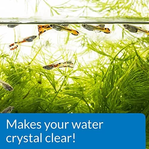 API ACCU-CLEAR Freshwater Aquarium Water Clarifier 37ml (1.25 Fl Oz) | Clears Cloudy Water Fast thumbnail 4