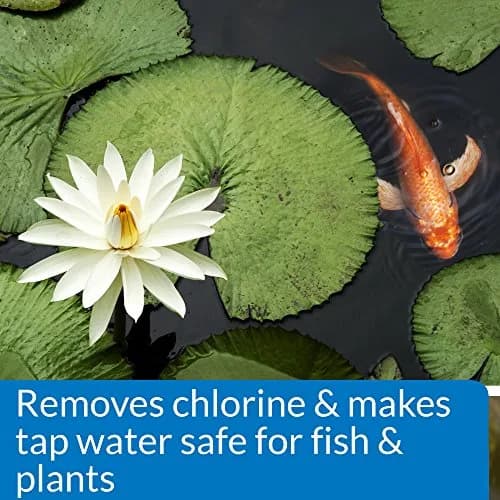 API Pond Chlorine & Heavy Metal Neutralizer 16oz | Instantly Removes Harmful Chemicals for Pond Safety thumbnail 3