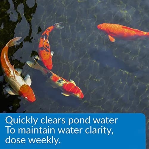 API ACCU-CLEAR Pond Water Clarifier 473ml (16 fl oz) | Clears Cloudy Water & Improves Filter Efficiency thumbnail 2