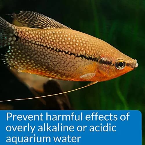 API pH TEST KIT 250-Test Freshwater Aquarium Water pH Test Kit | Easy Weekly Monitoring thumbnail 5