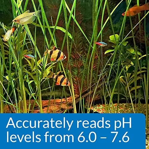 API pH TEST KIT 250-Test Freshwater Aquarium Water pH Test Kit | Easy Weekly Monitoring thumbnail 6