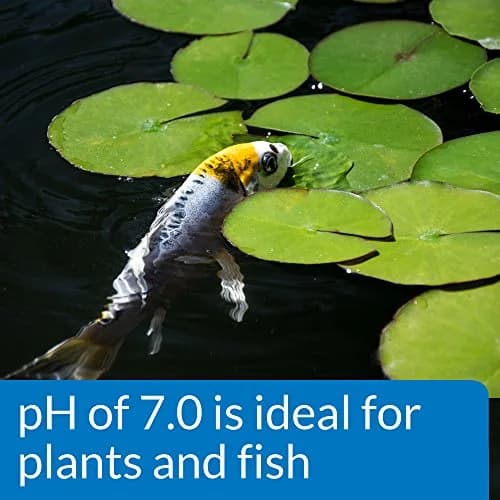 API Pond Wide Range pH Test Kit 160 Tests | Accurate Water Testing for Fish & Pond Care thumbnail 4