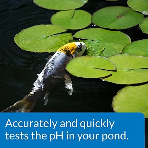 API Pond Wide Range pH Test Kit 160 Tests | Accurate Water Testing for Fish & Pond Care thumbnail 3