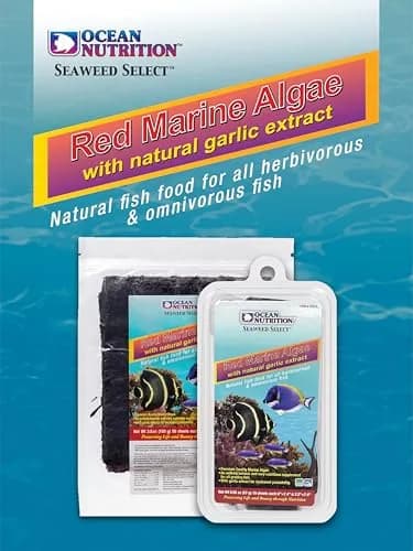 Ocean Nutrition Seaweed Sheets Red Marine Algae 0.4 oz | Natural fish food & color enhancer for marine & freshwater fish thumbnail 3