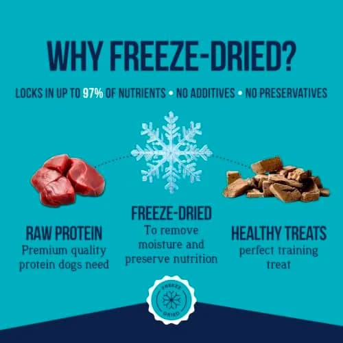 Stewart Freeze-Dried Dog Treats, 100% Beef Liver, 14 oz (397g) Tub | High Protein Training & Meal Topper thumbnail 3