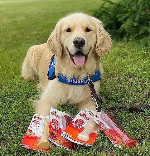 Nylabone Power Chew Original Bone Dog Chew Toy, Large, 7.63 in (19.35 cm) | Durable Nylon Chew for Aggressive Chewers thumbnail 2