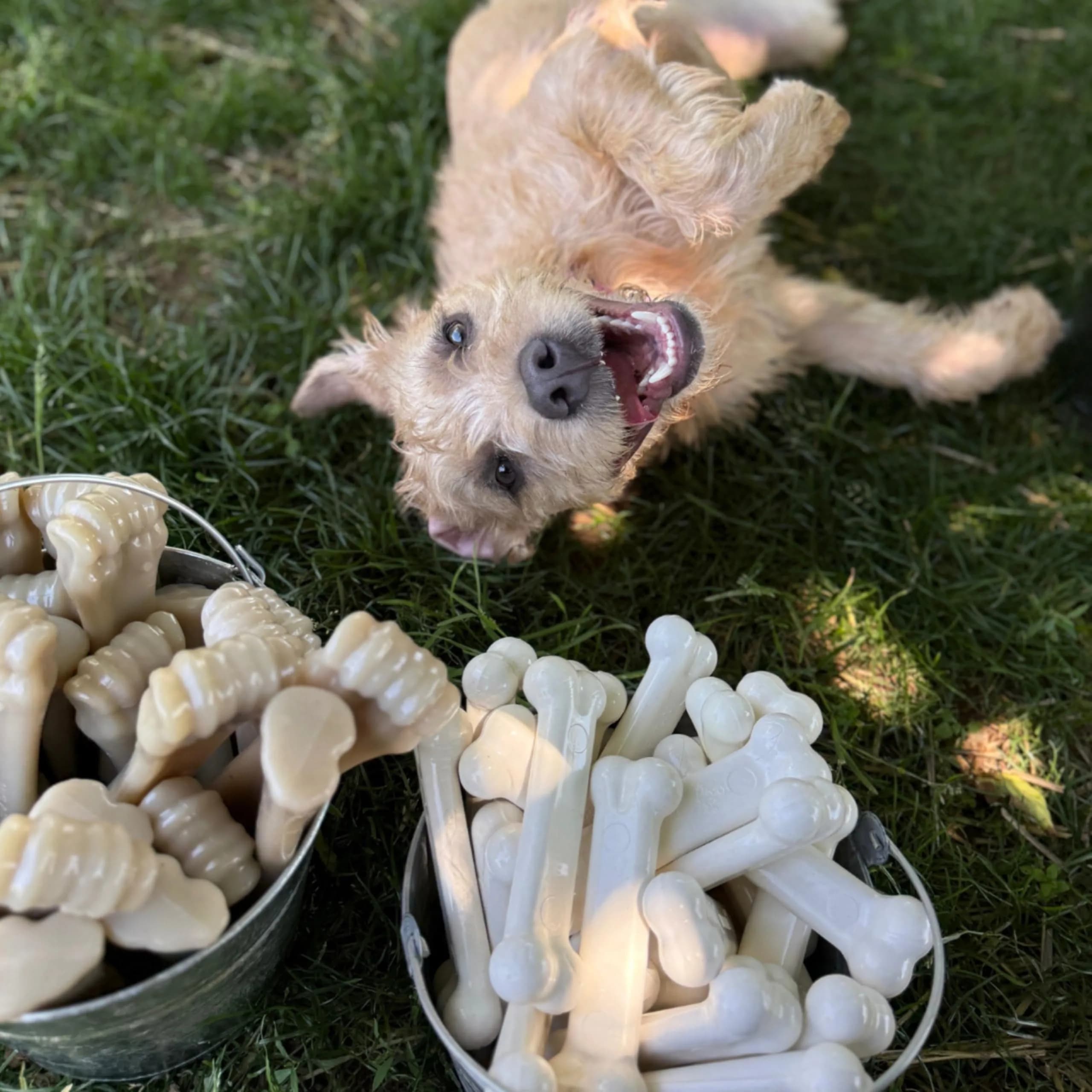 Nylabone Power Chew Original Bone Dog Chew Toy, Chicken Flavor, Medium | Durable Nylon Chew Toy for Aggressive Chewers - view 6