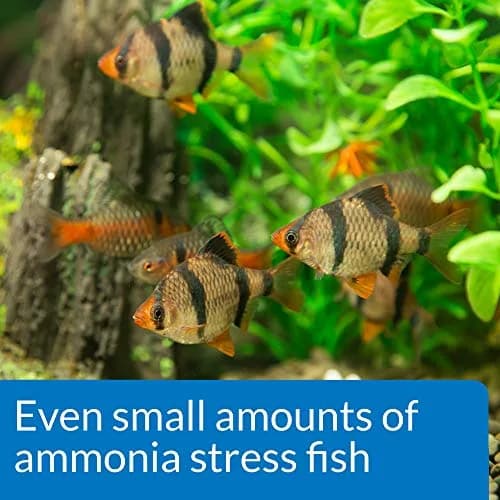 API Ammonia Test Kit 130-Test | Monitors PO4 Levels in Freshwater & Saltwater Aquariums - view 4