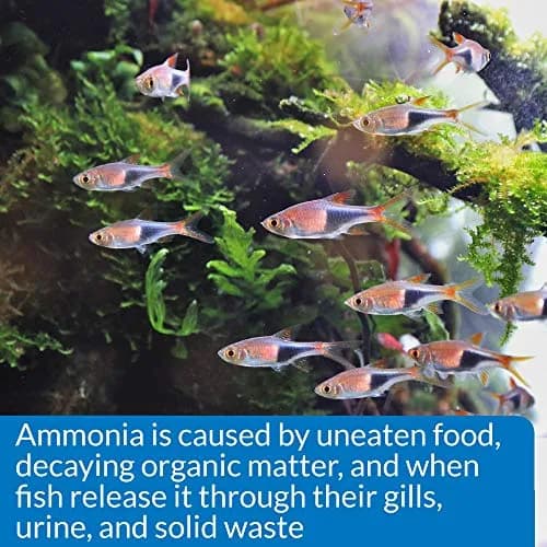 API AMMONIA 130-Test Freshwater and Saltwater Aquarium Water Test Kit | Accurately Reads Ammonia 0-8 ppm thumbnail 5