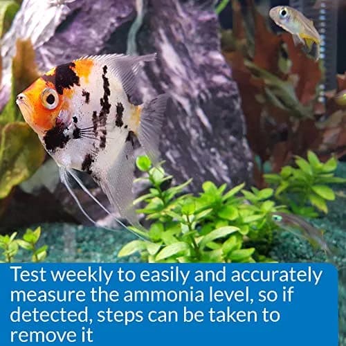 API Ammonia Test Kit 130-Test | Monitors PO4 Levels in Freshwater & Saltwater Aquariums - view 3
