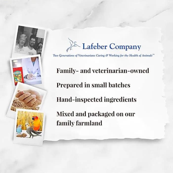 LAFEBER'S Classic Avi-Cakes for Cockatiels & Parakeets 227 g (8 oz) | Nutritionally Complete Foraging Food thumbnail 6
