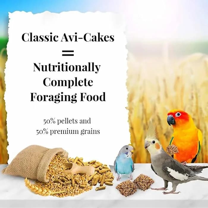 LAFEBER'S Classic Avi-Cakes for Cockatiels & Parakeets 227 g (8 oz) | Nutritionally Complete Foraging Food thumbnail 3