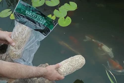 Summit Clear-Water Barley Straw Pond Treatment 2-Pack | Natural Pond Clarifier, Treats 2000 Gallons, Safe for Fish & Plants thumbnail 3