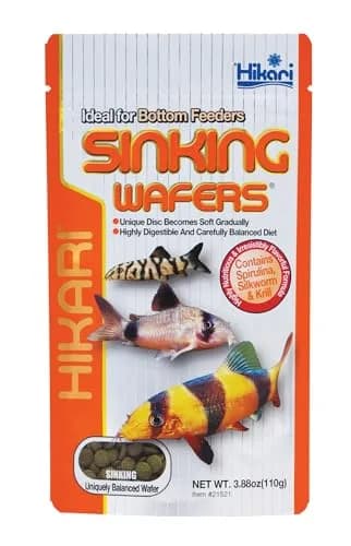 Hikari Sinking Wafers for Bottom-Feeding Tropical Fish 110g | Nutritious, Easy to Digest, USA Import thumbnail 1