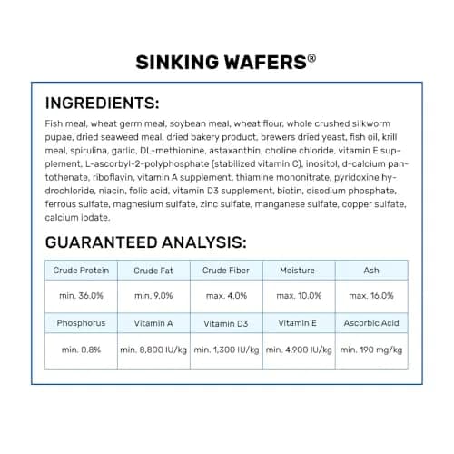 Hikari Sinking Wafers for Bottom-Feeding Tropical Fish 110g | Nutritious, Easy to Digest, USA Import thumbnail 3