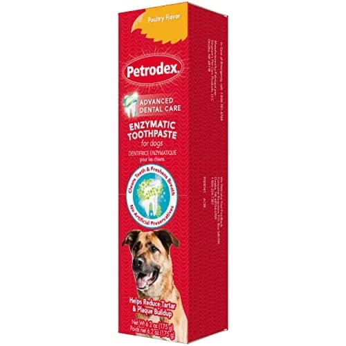 Petrodex Enzymatic Dog Toothpaste Poultry Flavor 175g (6.2 oz) | Advanced Dental Care for Dogs thumbnail 1