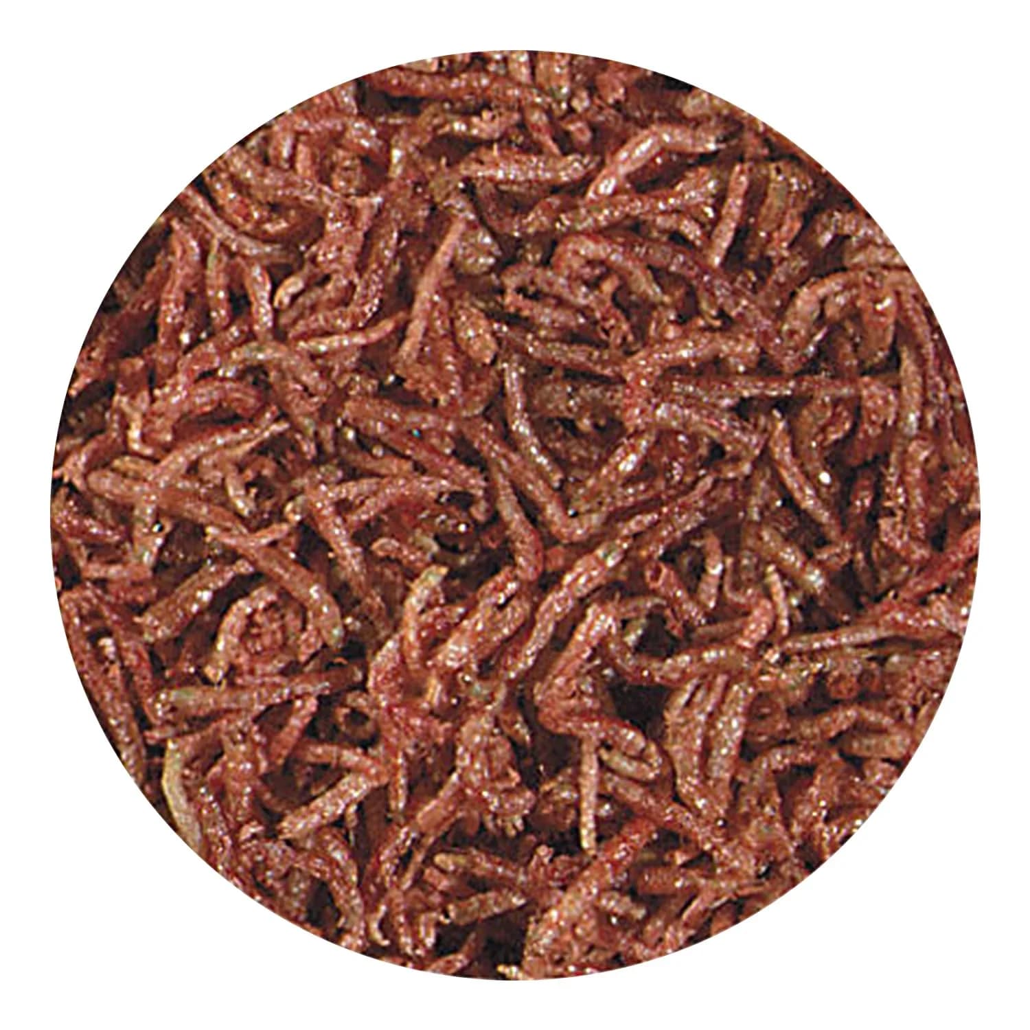 Hikari Bio-Pure Freeze Dried Blood Worms for Pets, 12g (0.42 oz) | All Life Stages Fish Food - view 3