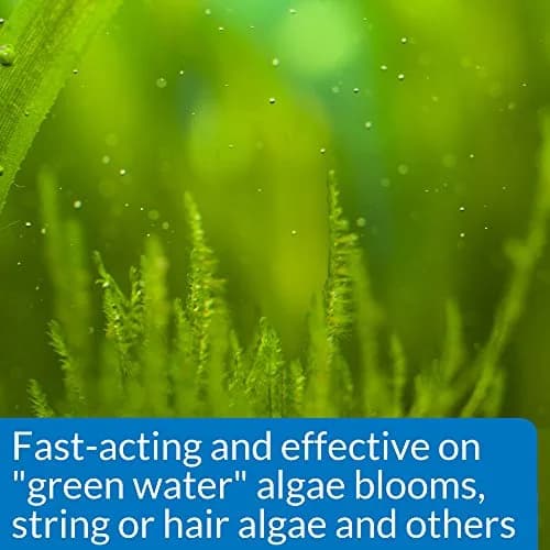 API ALGAEFIX Algae Control 118ml (4-Ounce) | Controls Green Water, String & Hair Algae thumbnail 3