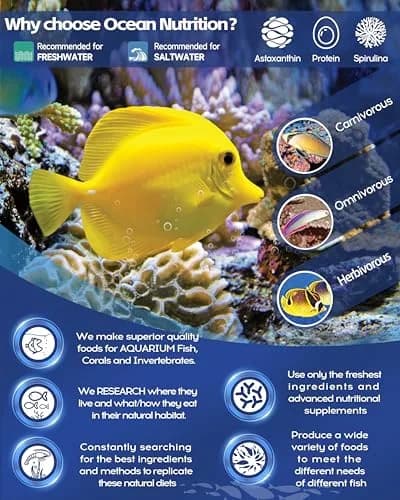 Ocean Nutrition Formula One Small Pellet Fish Food 100g (3.5oz) Jar | Gourmet Tropical Fish Food thumbnail 8
